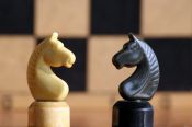 13 октября на Алтае стартует Региональный день шахмат