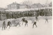 Страницы истории алтайского хоккея. Год 1954-й 