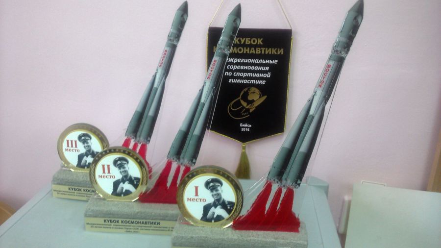 В Бийске определились лучшие гимнасты-юноши межрегионального турнира «Кубок Космонавтики»