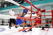 Тридцать ударов гонга: легендарный барнаульский боксерский клуб в этом году отмечает юбилей