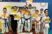 Алтайские спортсмены завоевали 26 медалей на межрегиональном турнире «Детская лига каратэ»