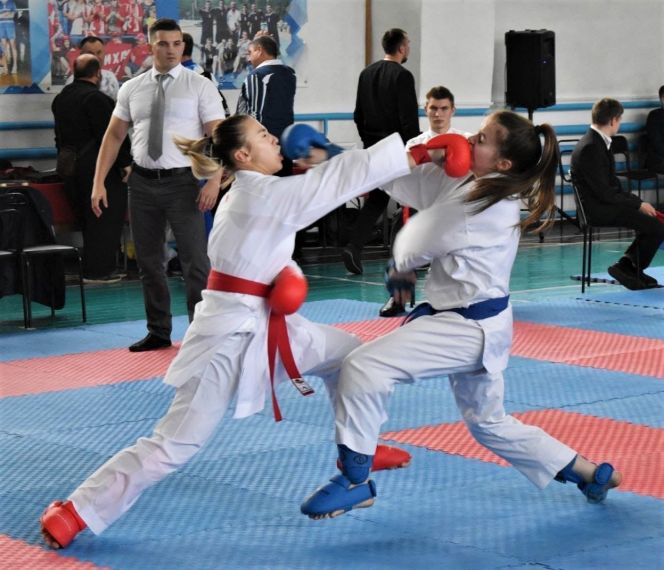 В Ребрихе прошли чемпионат и первенство Алтайского края по каратэ WKF 