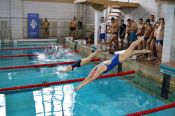 Соревнования по плаванию завершили краевую спартакиаду общества «Динамо»