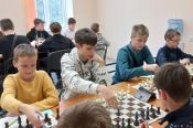 В Бийске состоялся шахматный турнир XLII краевой спартакиады спортшкол среди юношей и девушек до 15 лет