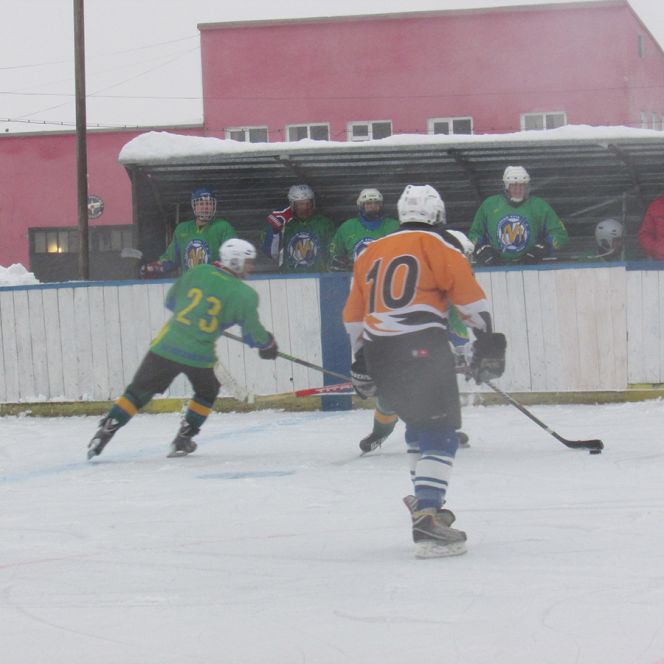 В Алтайском крае стартовал отборочный цикл Ночной хоккейной лиги.