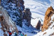 Алтайские любители скайраннинга приняли участие в высокогорном забеге на 4-тысячный пик Амангельды