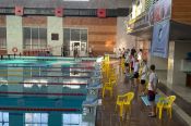 В Бийске прошли первые в новом году краевые соревнования по плаванию  «Резерв Алтая» 
