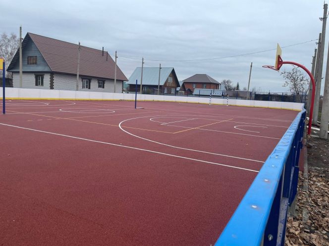 В спортивной инфраструктуре Новоалтайска появится новая хоккейная коробка со всесезонным покрытием 