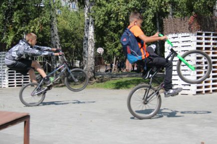 В Барнауле состоялся краевой фестиваль дворового спорта (фото).