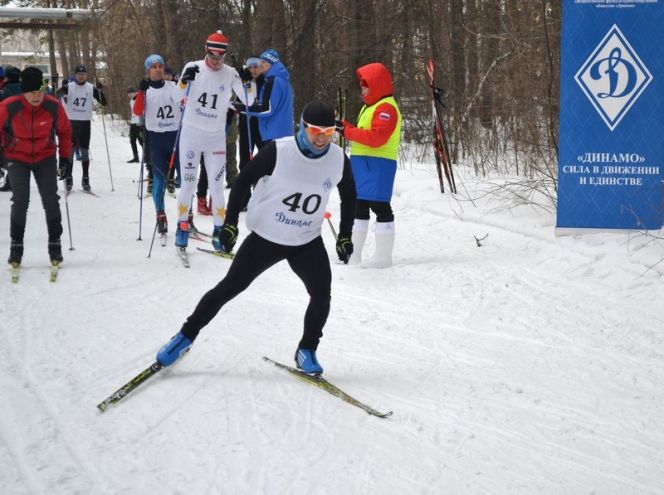 В Барнауле прошли краевые соревнования ВФСО «Динамо» по служебному двоеборью и лыжным гонкам