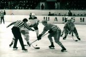 Страницы истории алтайского хоккея. Январь 1970-го. Пришла игра, придут и очки