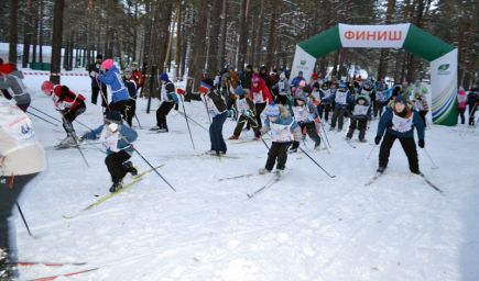В Павловске начала работу новая лыжная база (фото).