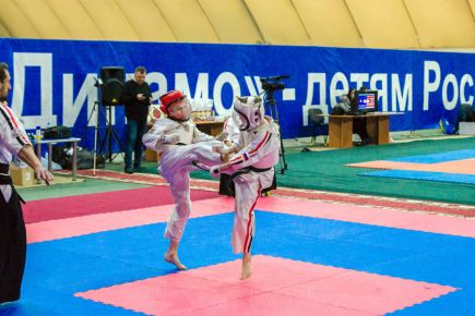 Более 300 участников собрал в Барнауле Всероссийский турнир по спортивному контактному каратэ «Siberia open-2017» (фото).