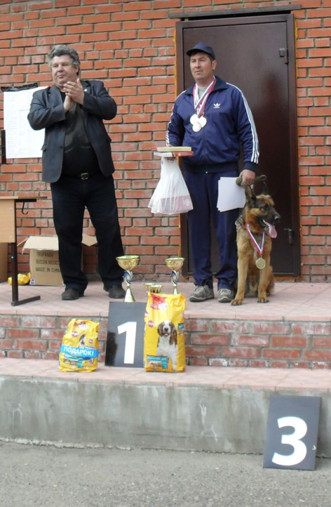 На чемпионате Сибирского федерального округа по спортивно-прикладному собаководству команда Алтайского края выиграла шесть золотых медалей.