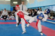 В открытом первенстве Барнаула на призы СШОР «Олимпийские надежды» приняли участие более 100 юных тхэквондистов