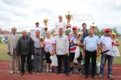 Победителями XL летней олимпиады сельских спортсменов Алтайского края стали Благовещенский и Завьяловский районы