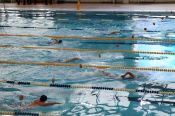 Соревнования по плаванию выиграли Минэкономразвития и УФНС (фото, протоколы)