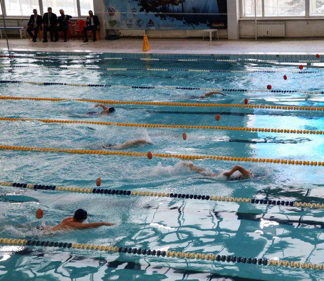Соревнования по плаванию выиграли Минэкономразвития и УФНС (фото, протоколы)