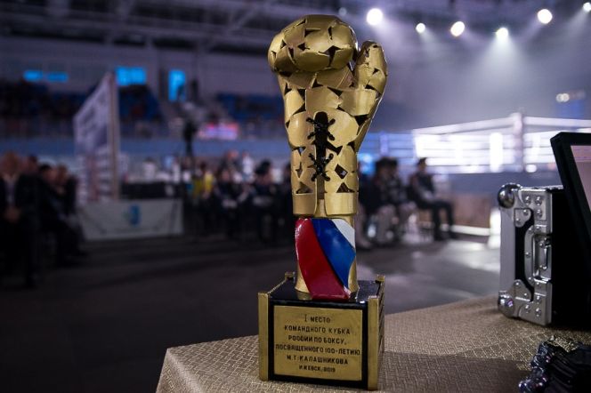 Командный Кубок России по боксу среди федеральных округов