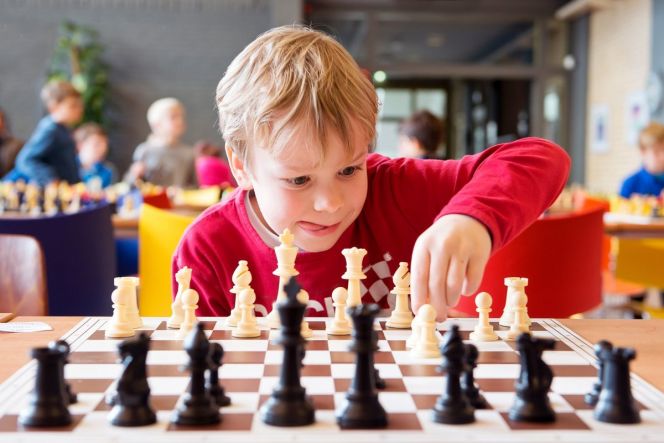 Краевая федерация шахмат выиграла конкурс Президентских грантов с проектом "Детский сельский шахматный клуб"