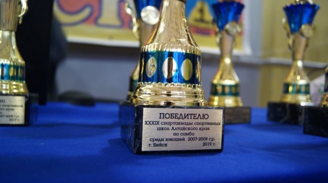 В Бийске подвели итоги краевых соревнований по самбо XXXIX  спартакиады спортивных школ среди спортсменов 2007-2008 годов рождения