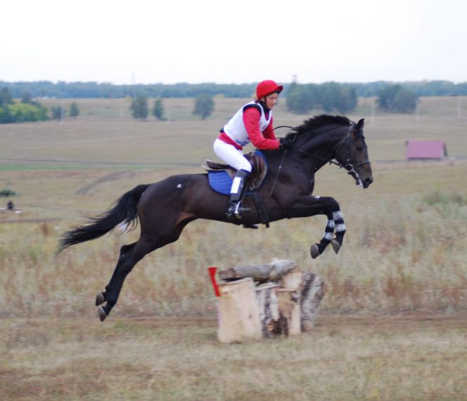 Открытый чемпионат и первенство Алтайского края по конному троеборью 2011 года