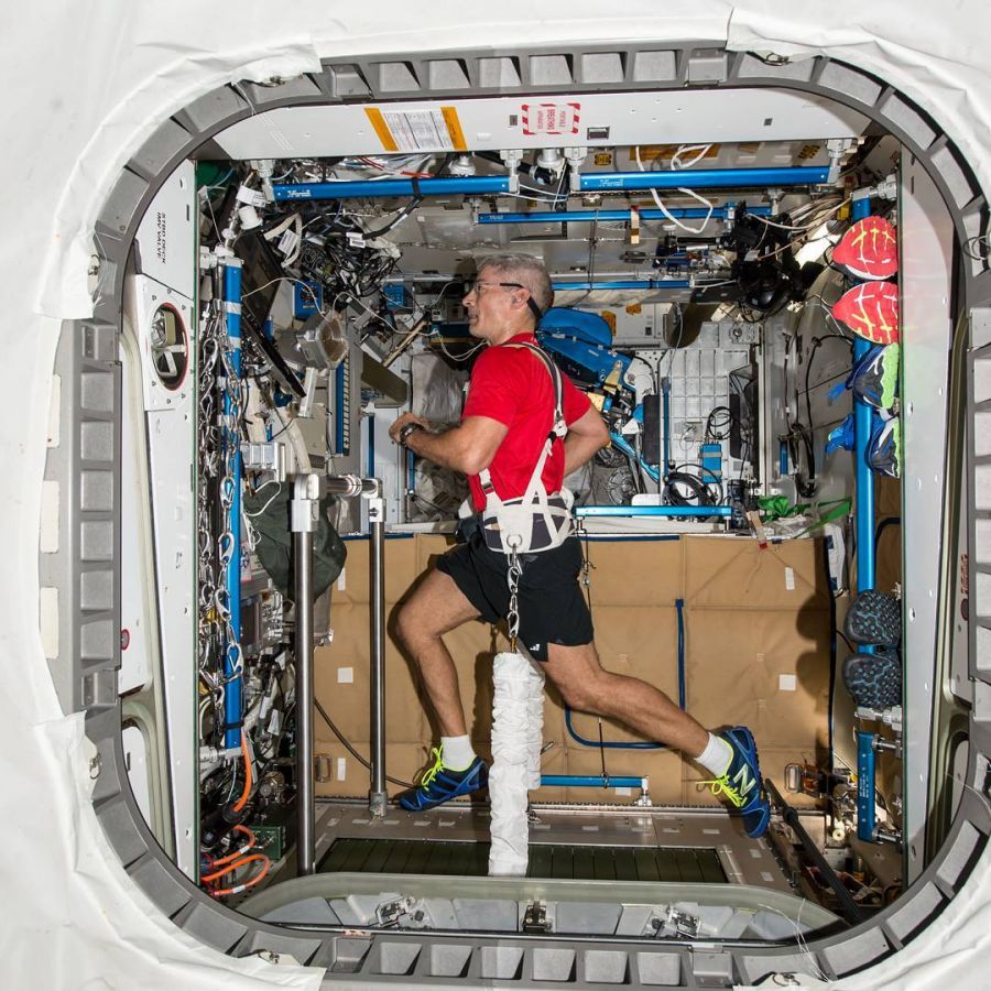 Для занятий космонавты в американском сегменте МКС пользуются силовым тренажёром-трансформером, приспособленным сразу для нескольких видов упражнений. Фото: Instagram
