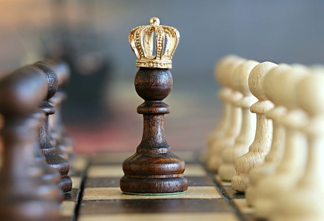 Краевая федерация шахмат приглашает к участию в благотворительном онлайн-турнире 