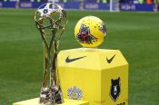 УЕФА рекомендует доиграть национальные чемпионаты