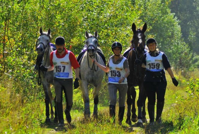 В Новосибирске впервые состоялись соревнования «Сибирская осень» по дистанционным конным пробегам, в которых алтайские спортсмены заняли почти все призовые места.