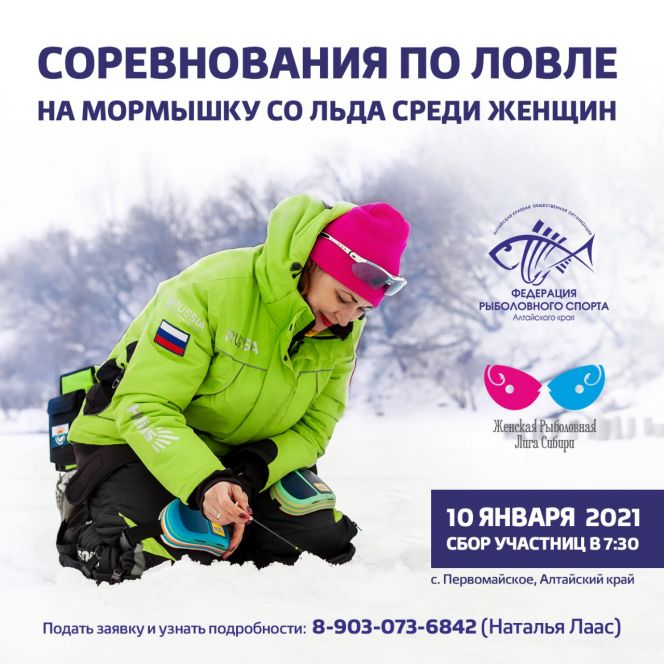 Новогодние Праздники Виды