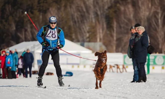 Лыжная трасса посреди гор – фишка праздника ездового спорта в Алтайском крае