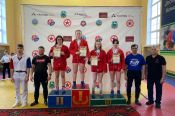 В Бийске подвели итоги турнира самбистов 15-16 лет XLI краевой спартакиады спортивных школ 