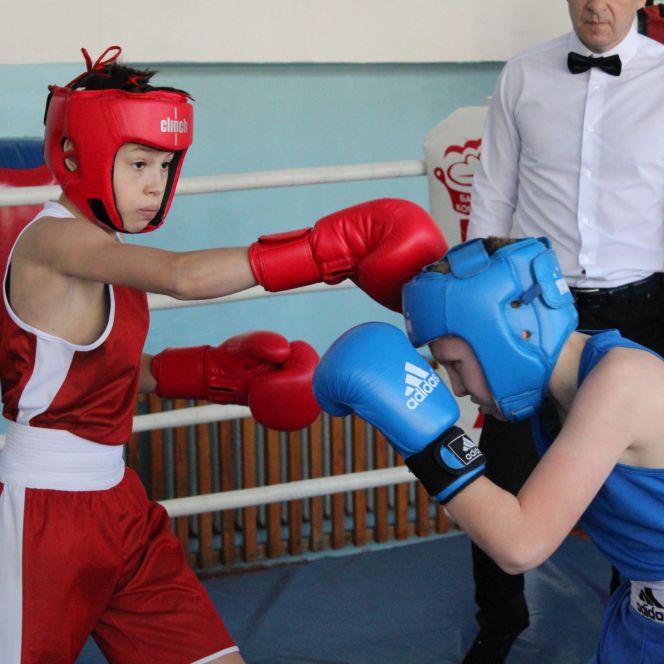 Фото: Федерация бокса Алтайского края