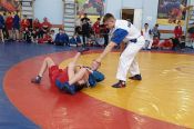 В Барнауле завершился турнир самбистов XLI краевой спартакиады спортивных школ 