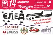 Общественная организация помощи бездомным животным «Ласка» 14 марта проведёт на барнаульском ипподроме гонки на собачьих упряжках «След-2021»