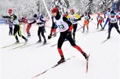 В Тягуне прошли первые краевые соревнования по лыжным гонкам  «Открытие зимнего сезона»