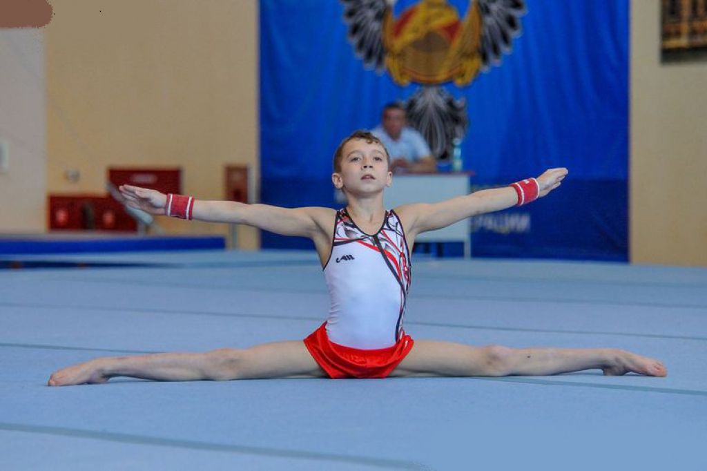 Мастер спорта по спортивной гимнастике. Сергей Найдин спортивная гимнастика. Алтайская сборная по гимнастике. Хорохордина гимнастка. Алтайка гимнастика спортивная.