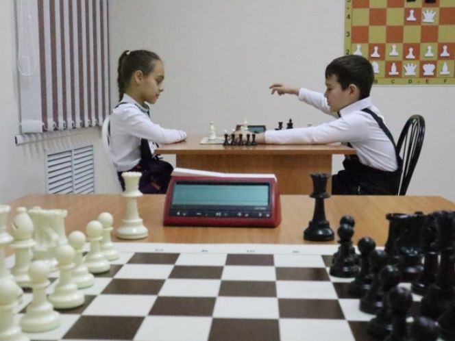Ещё шесть новых клубов. Краевая федерация шахмат получила грант на 2,5 млн рублей