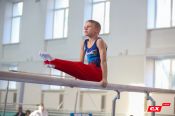 В Барнауле завершилось первенство Алтайского края по спортивной гимнастике (фото и видео)