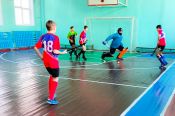 Готовясь к новому сезону, краевая спортшкола «Юность Алтая» провела большой турнир по индорхоккею