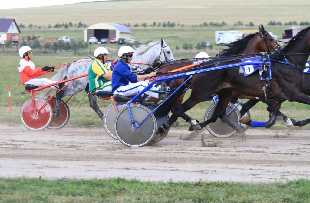 Конно спортивные соревнования. Ишеевский ипподром. Бачатский ипподром. Алтайский краевой ипподром. Конный завод в Новотырышкино скачки.