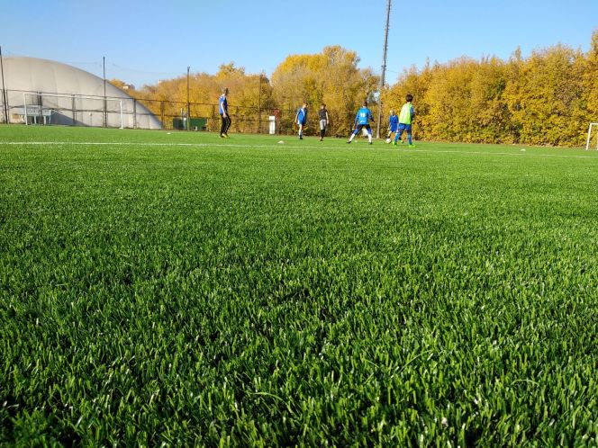 Благодаря федеральному проекту «Спорт - норма жизни» заменен искусственный газон в футбольной школе барнаульского «Динамо» 