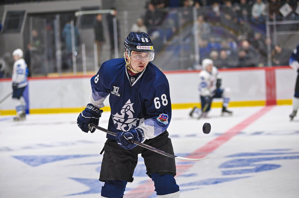 филин хоккеист