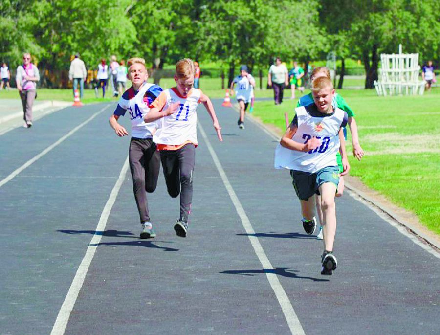 Мой спорт родитель войти